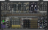 Black &amp; Gold Shared System Plus