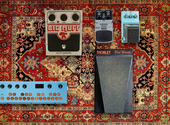 Noel's modest pedal collection