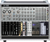 My brindled Eurorack
