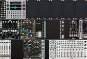 kxmx_hirn nosemi