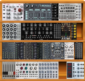 My tarsal Eurorack