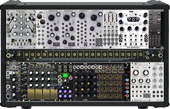 Black &amp; Gold Shared System Plus (copied from polytruk) (copy)