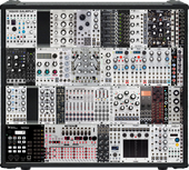 Everything in the big case arranged (wishlist)