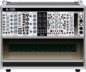My reptant Eurorack